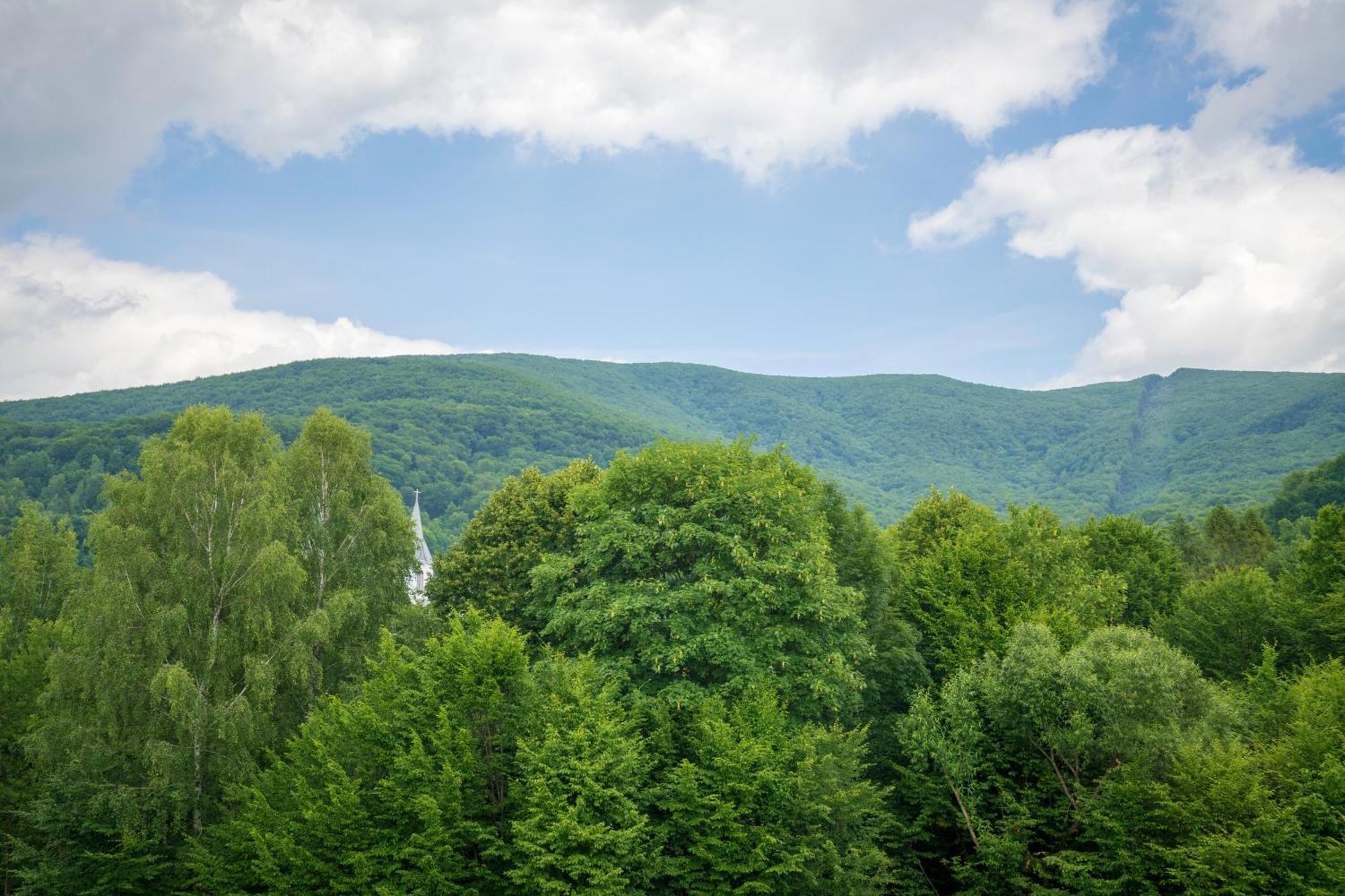 Vovk Gasthaus Syňak Exteriér fotografie